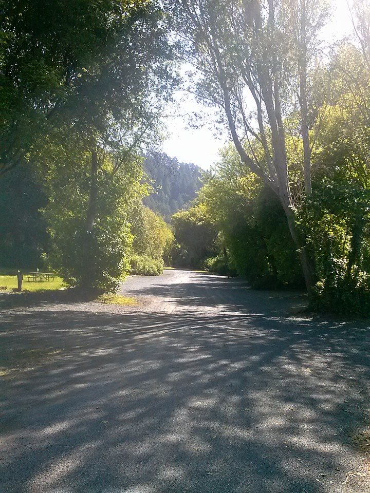 Almost 40 Acres with These Roads Make for Excellent Walking and Bike Riding, this one Goes to the River